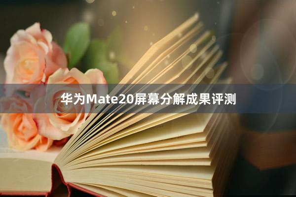 华为Mate20屏幕分解成果评测