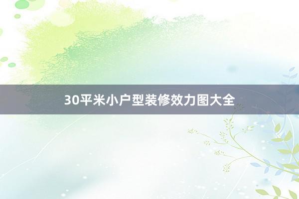 30平米小户型装修效力图大全